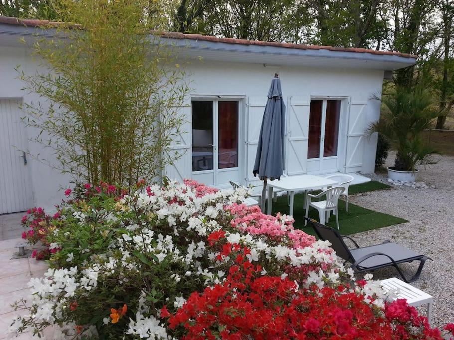 Chalet A Louer Pres De Dax Mees Exterior photo